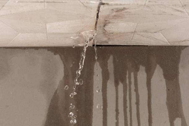 Professional Structural Drying technician working in Carversville, PA